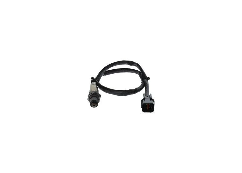 lott-320744