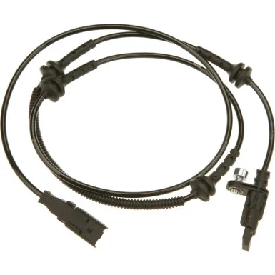 moto100-329861