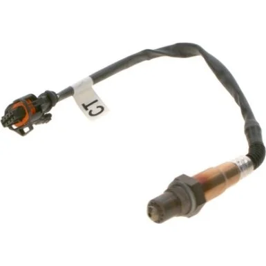 moto100-351184