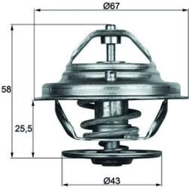 moto100-674640