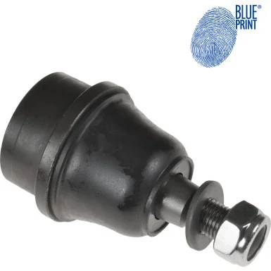 moto100-894152