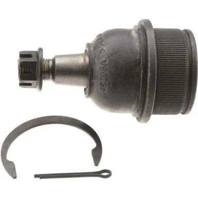 moto100-895881
